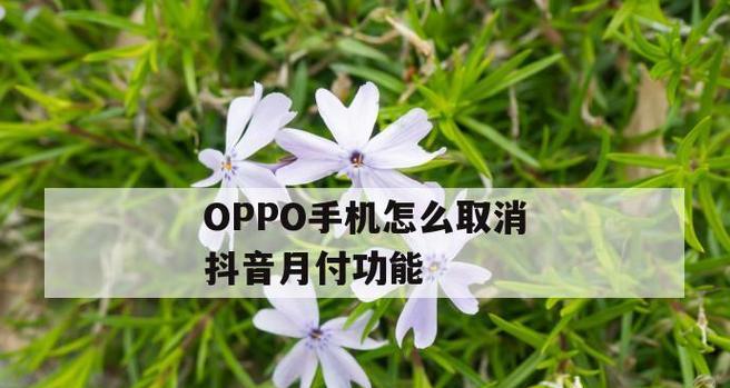 以抖音怎么发表情包教程oppo为主题（一步步教你在oppo手机上使用抖音发表情包）