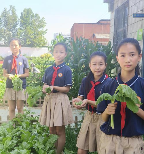 摄乐小学的特色教育之旅（探寻摄乐小学的教育魅力）