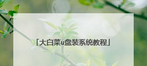 使用大白菜工具制作启动U盘装系统教程（简单易懂的教你制作启动U盘，让系统安装更方便）