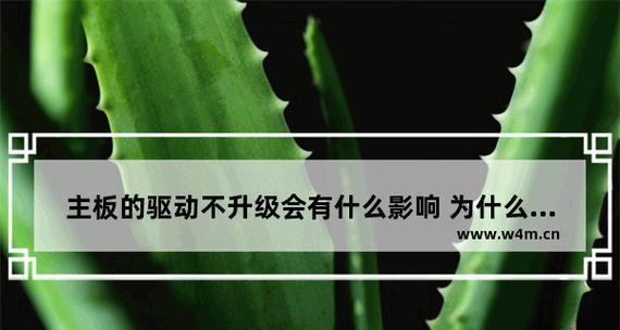 更新驱动程序的影响与重要性（提升性能、修复问题与加强安全——为什么你应该经常更新驱动程序）