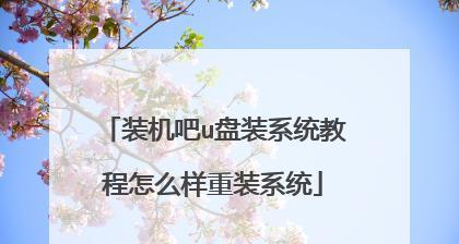 深度U盘系统安装教程（详细教你如何使用U盘安装深度操作系统）