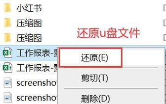 U盘文件不小心删除，如何恢复回来？（教你轻松恢复被删除的U盘文件，避免数据丢失的困扰）