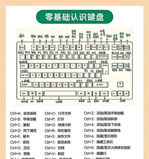 电脑联网详细教程（轻松掌握电脑联网的方法与技巧）