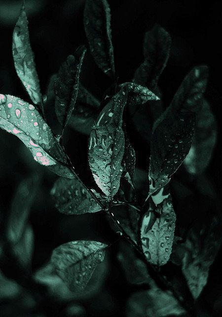 探索大屏手机的魅力（尽显视觉震撼，开启手机新时代）