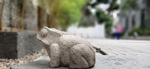 魅蓝苹果拍照表现如何？（探索魅蓝苹果相机性能和拍摄效果）