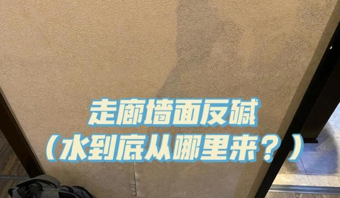 墙面返碱的清洁处理方法（解决墙面返碱问题的有效措施）