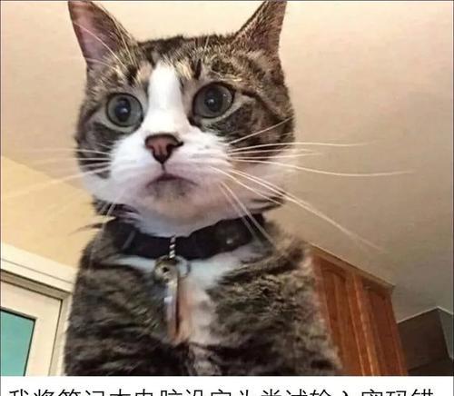 电脑输入密码提示模板错误解决方法（发现电脑输入密码提示模板错误该如何应对？）