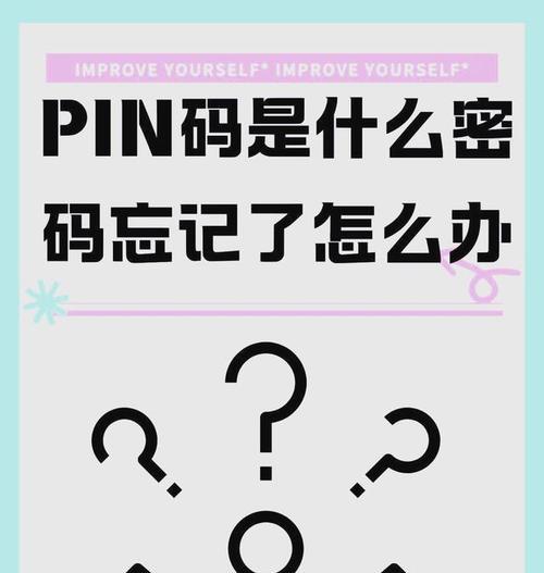 电脑锁定密码输入错误解决方法（忘记密码怎么办？教你解决电脑锁定问题）