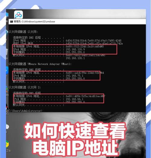 电脑IP地址键入错误的影响及解决方法（探索IP地址键入错误对网络连接的影响以及如何解决问题）