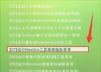 大白菜系统教程（一步步教你如何将大白菜变成口感鲜嫩、色香味俱佳的美食佳肴）