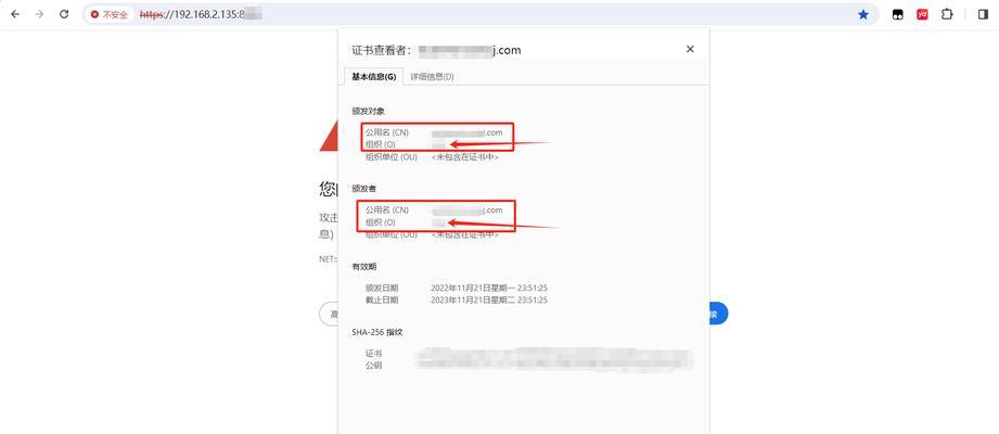 电脑自带浏览器脚本错误的解决方法（探索如何应对电脑自带浏览器的脚本错误问题）