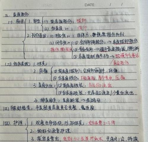 知乎（通过知乎，轻松掌握电脑教程知识）